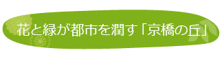 花と緑が都市を潤す「京橋の丘」